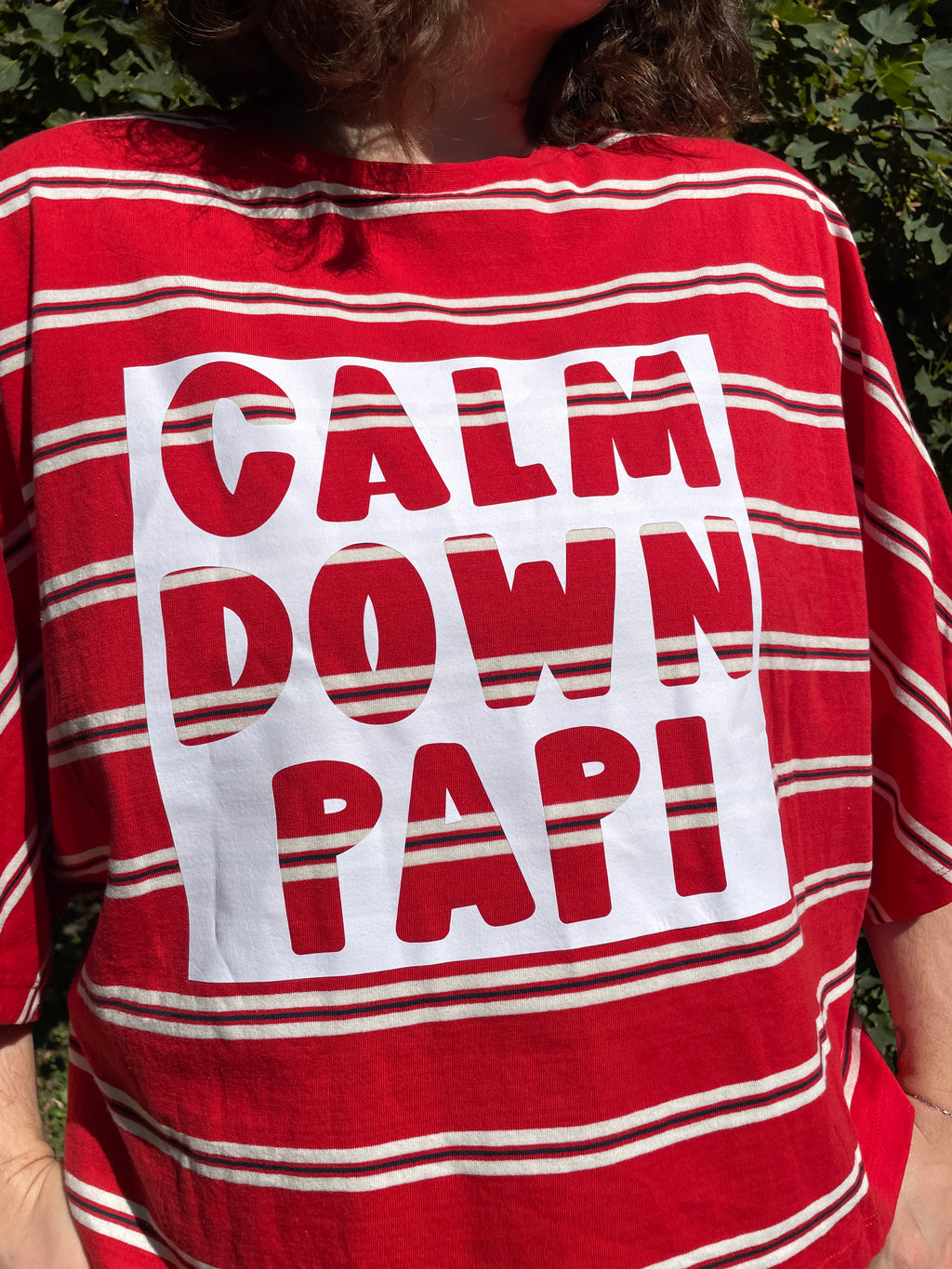 Tee-shirt CALM DOWN PAPI