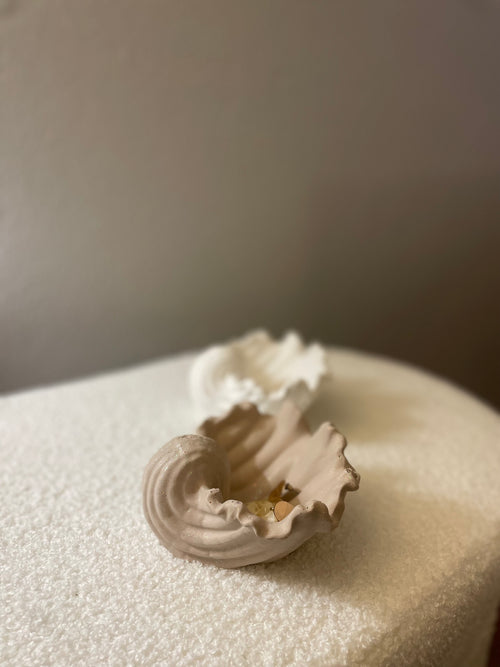 Coquillage ALIYANNA duo blanc et beige
