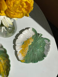 Vide poche MONSTERA