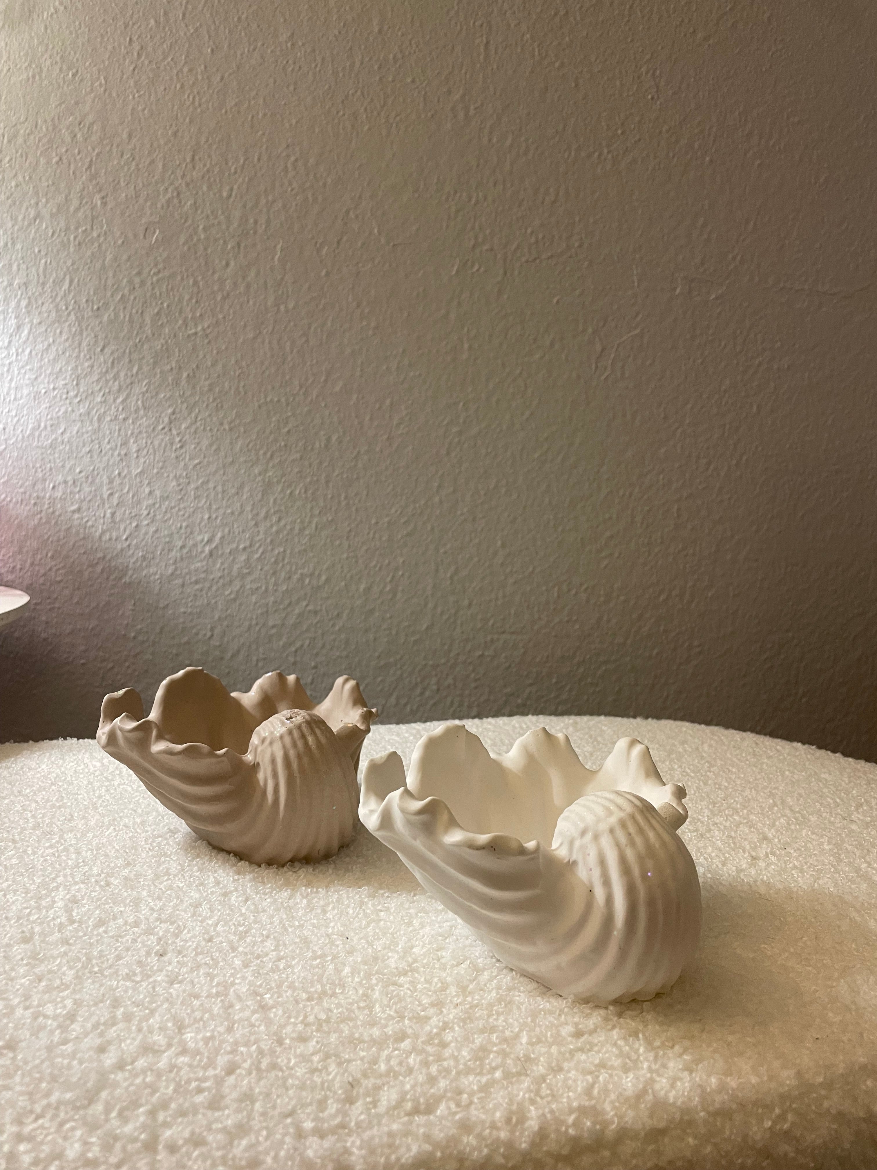 Coquillage ALIYANNA duo blanc et beige