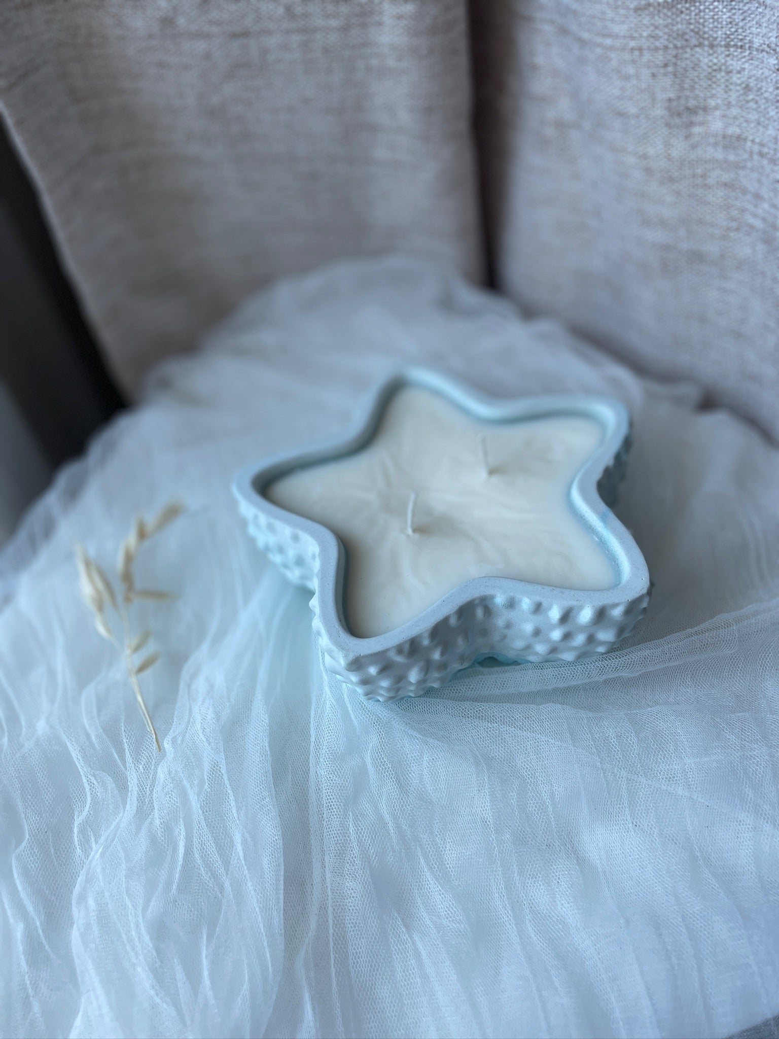 Bougie Étoile de mer XXL