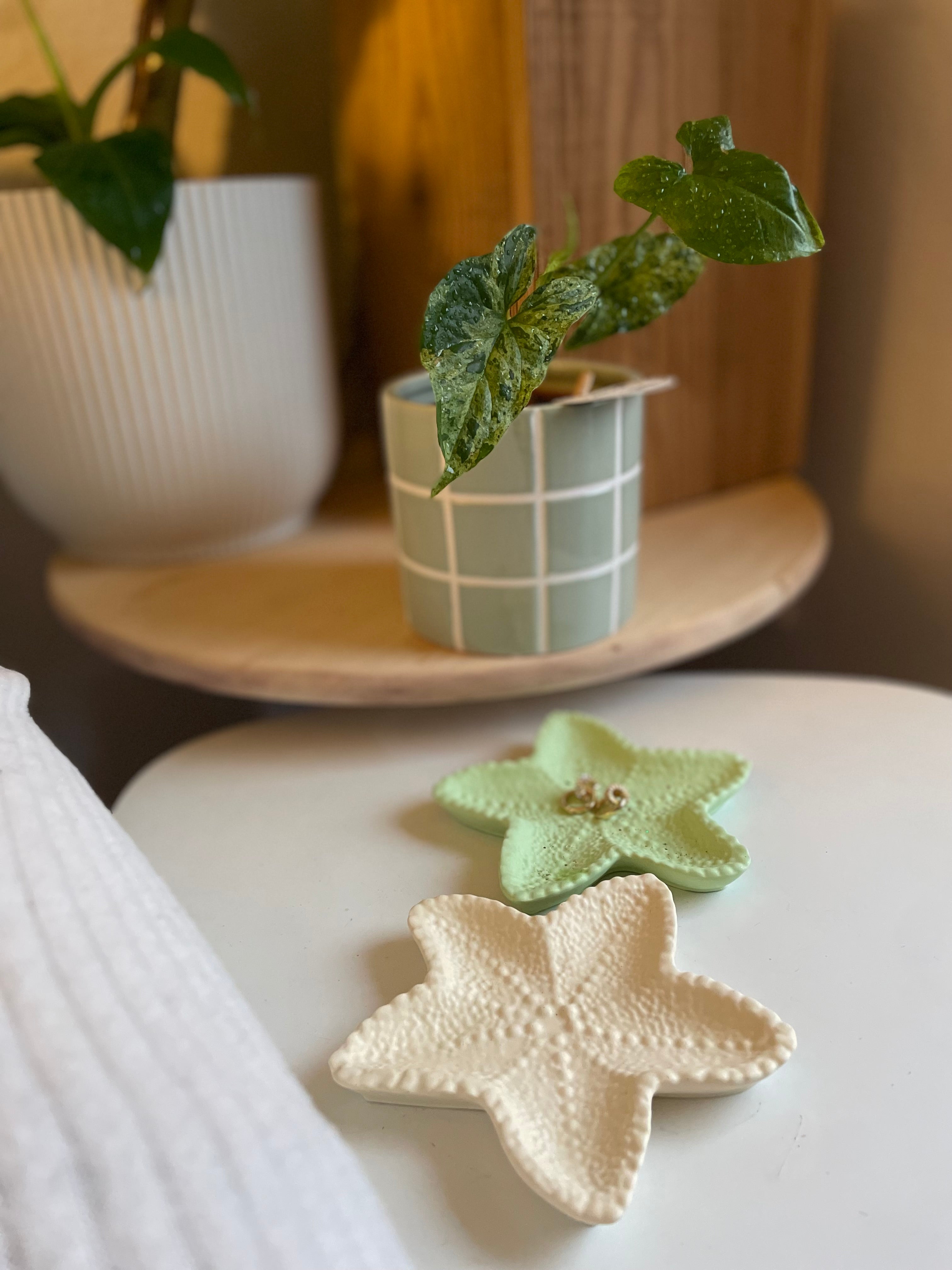 Étoile MOLLY duo jaune et vert pastel